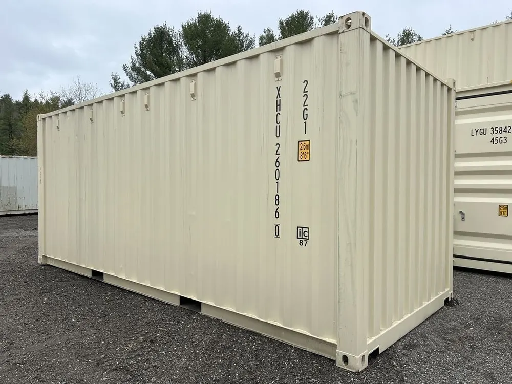 20-Fuß-Lagercontainer One-Trip in Standardhöhe, beige – Bild 6 von 10