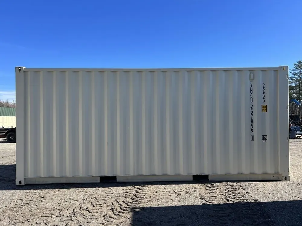 20-Fuß-Lagercontainer One-Trip mit Seitentüren, beige – Bild 7 von 10