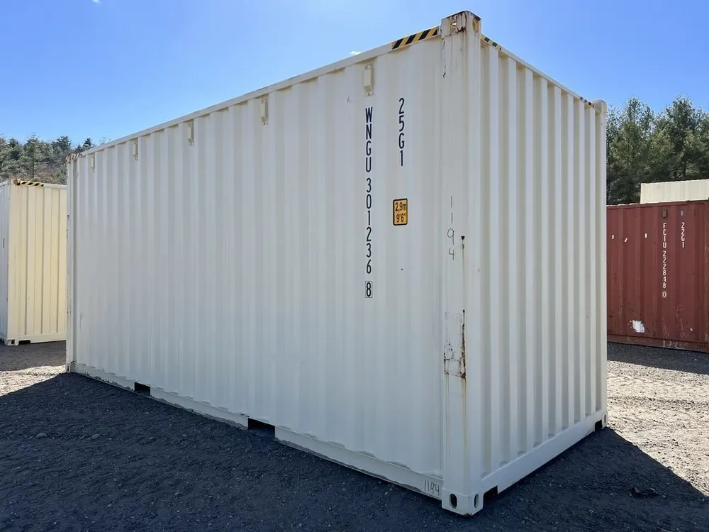 20-Fuß-Lagercontainer One-Trip, Standardhöhe, beige – Bild 9 von 10