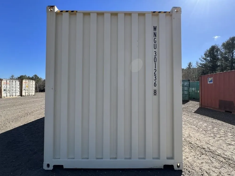 20-Fuß-Lagercontainer One-Trip, Standardhöhe, beige – Bild 10 von 10